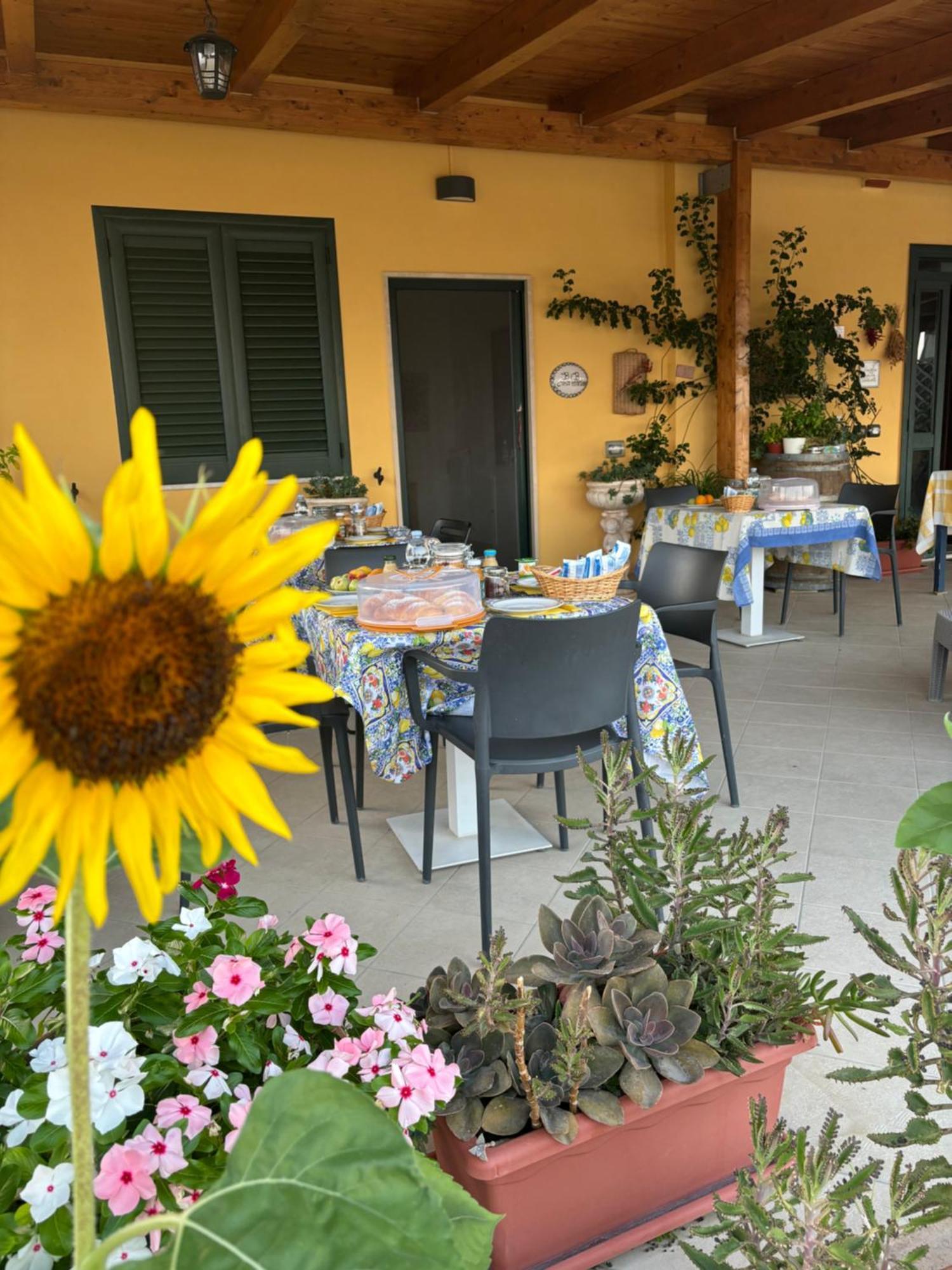 B&B Casa Martina Giungano Экстерьер фото