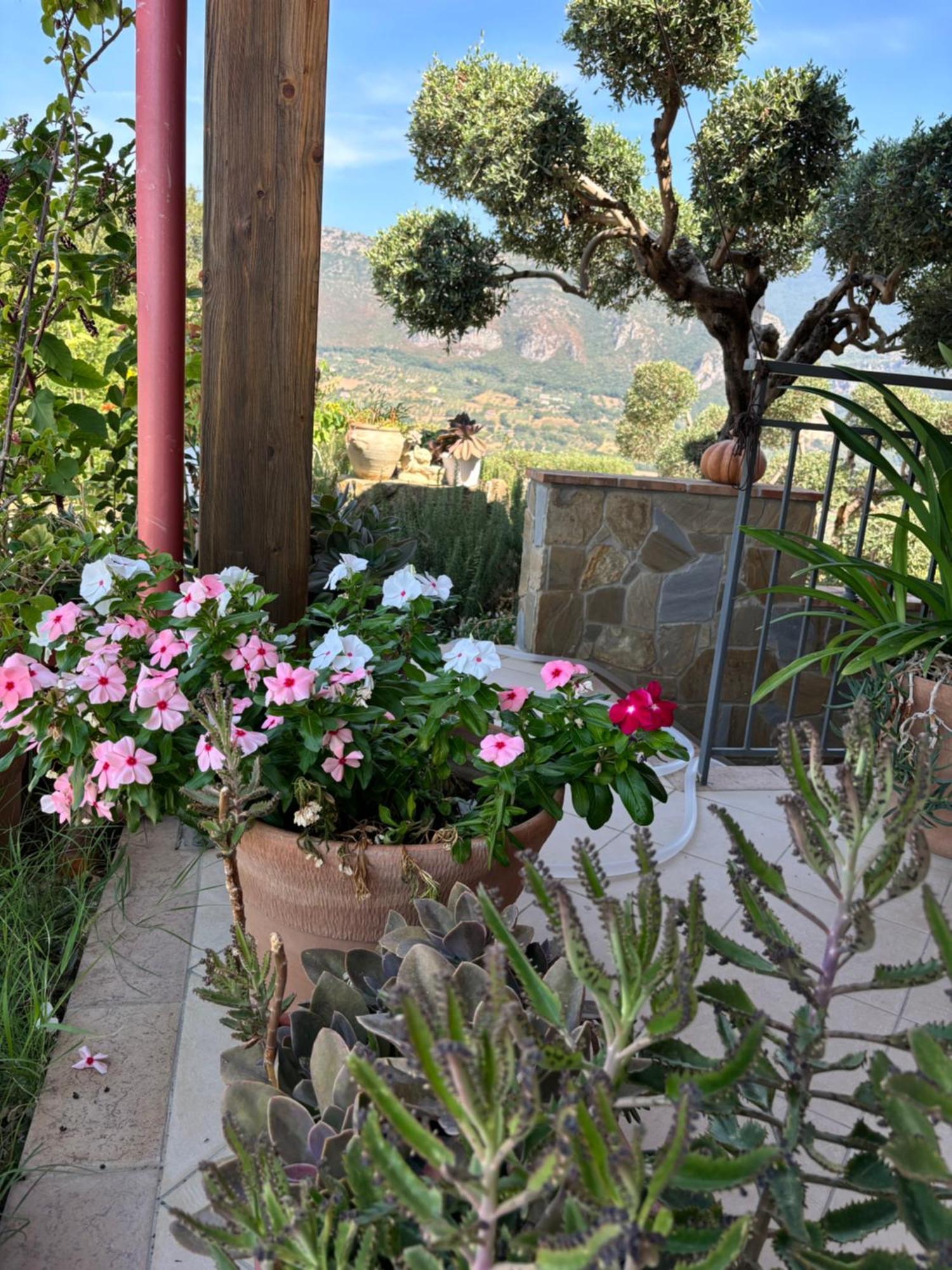 B&B Casa Martina Giungano Экстерьер фото